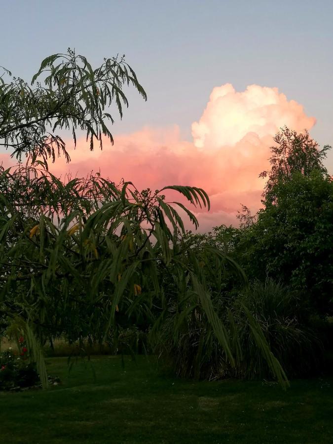 Le Verger Du Paradis Beaulieu-sur-Sonnette 外观 照片